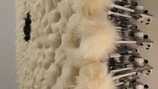 动图:毛绒球在电机推拉下翻转的近景